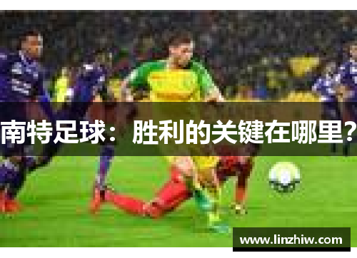 南特足球：胜利的关键在哪里？
