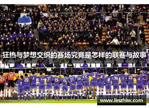 狂热与梦想交织的赛场究竟是怎样的联赛与故事